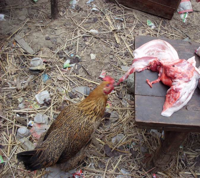 ������С IMG_0035.JPG