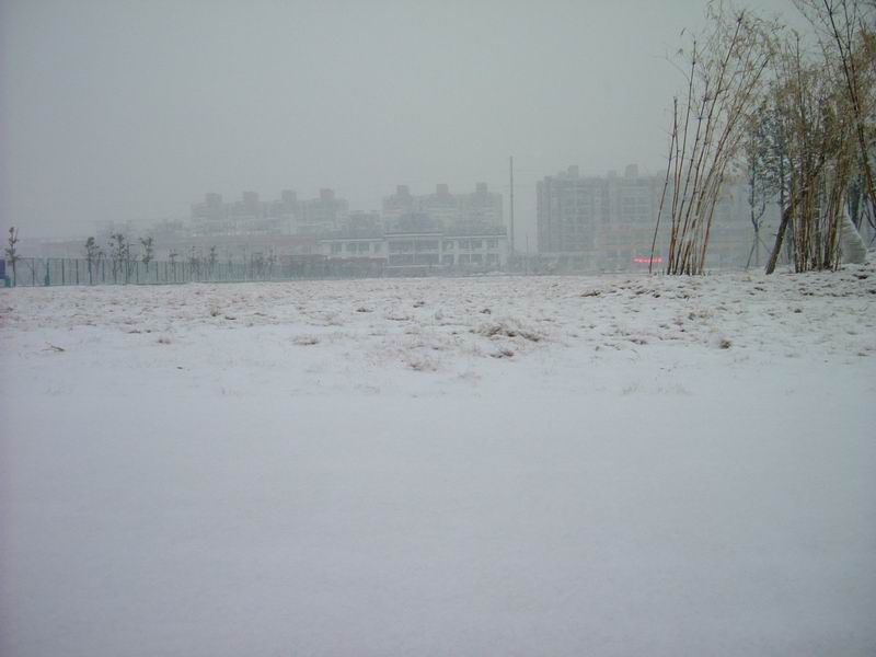 ������С DSCF8369.JPG