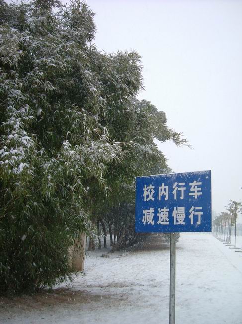 ������С DSCF8380.JPG