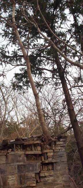 ������С IMG_0082.JPG