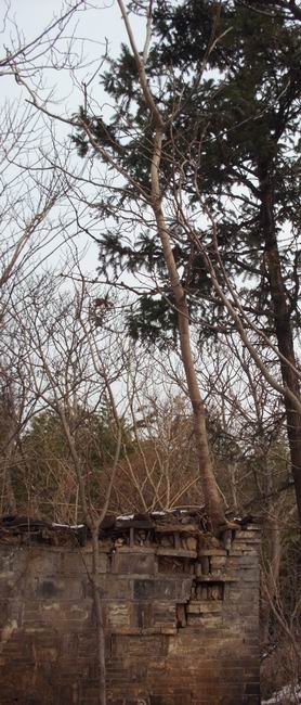 ������С IMG_0055.JPG