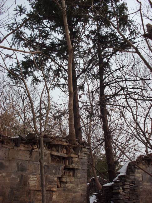 ������С IMG_0083.JPG