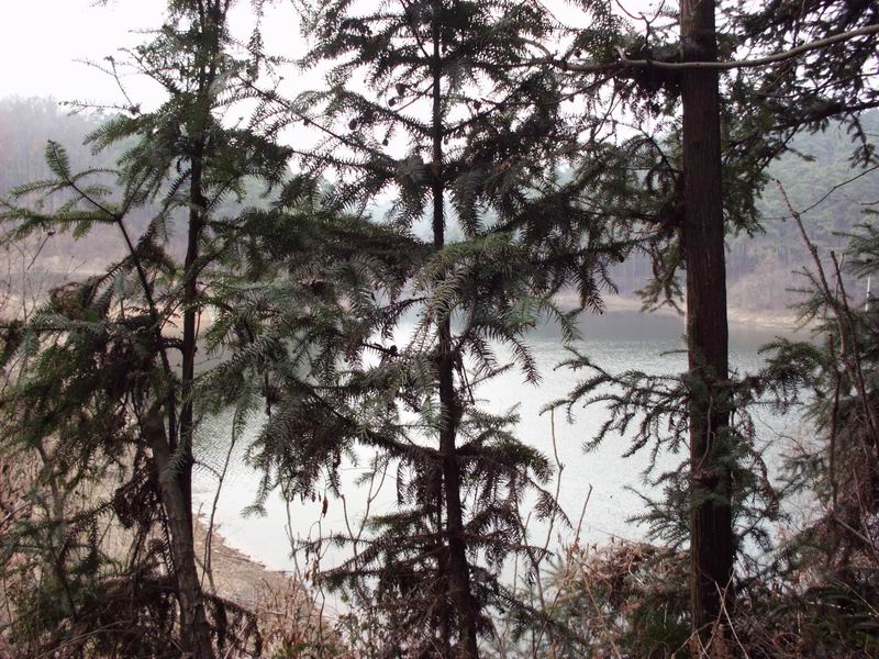 ������С IMG_0152.JPG