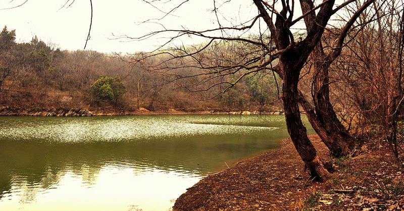 2.14ȫ���ġ���կɽˮ�� 101.jpg