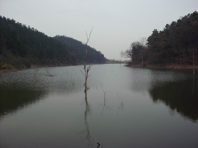 ������С IMG_0070.JPG