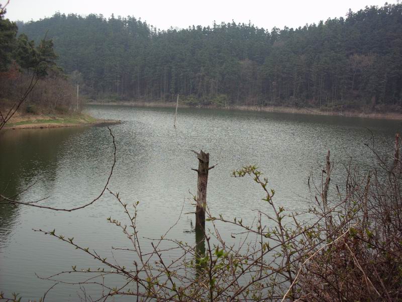 ������С IMG_0047.JPG