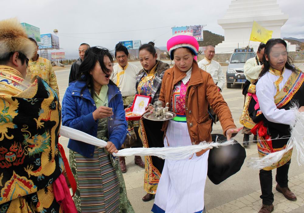 ����Ĳ������