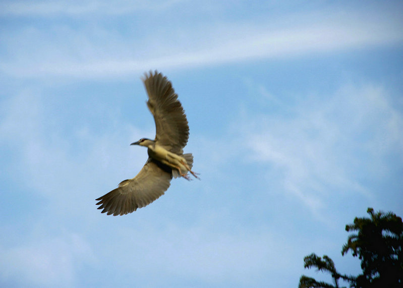 ���� IMG_6009.JPG