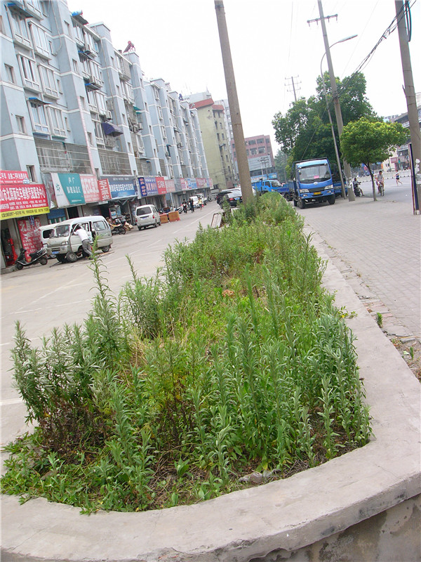 �������� ��ƽ¥ 2010��6��23��.jpg