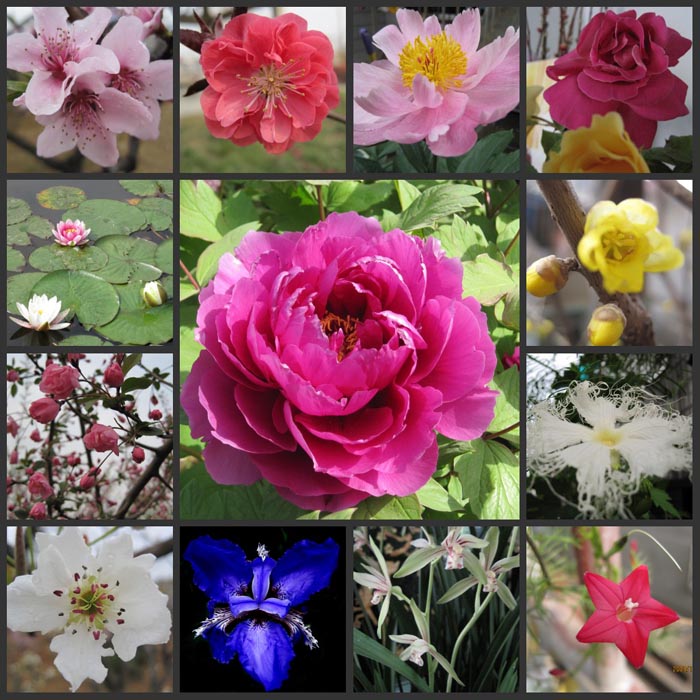 ���� ����ƴͼ_���භ��.jpg