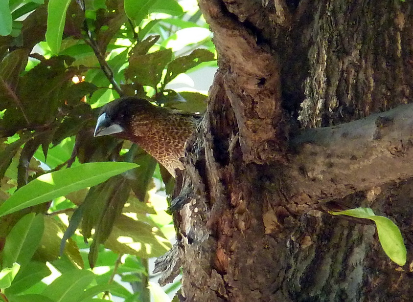 �����Ƕ�,���ڿ�����