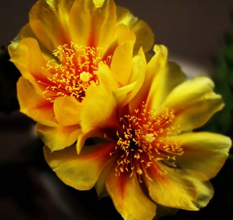 _MG_1771 ����.jpg