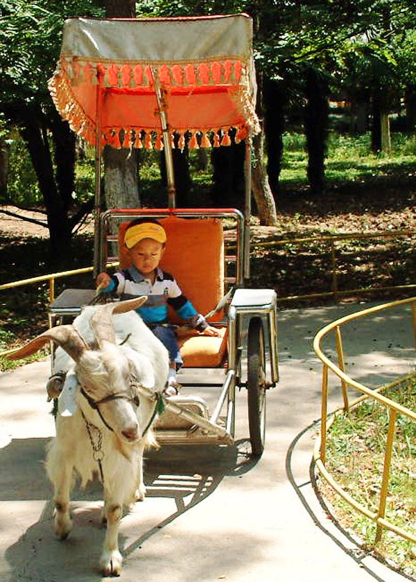 ���� DSCF0052_conew1.jpg