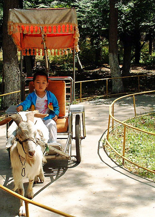 ���� DSCF0049_conew1.jpg