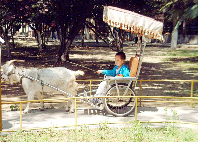 ���� DSCF0046_conew1.jpg