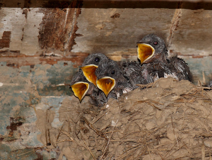 _MG_2354 ����.jpg