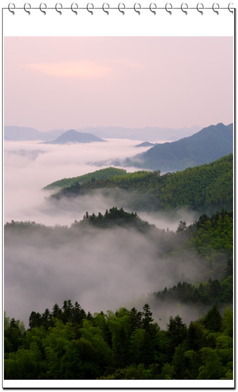 XV8I1932 ����.jpg