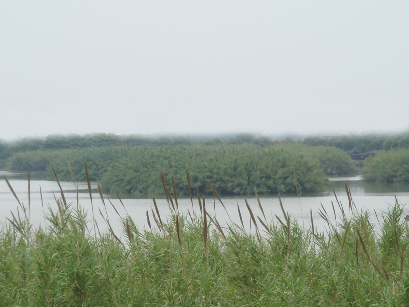 ���� DSC07409.JPG