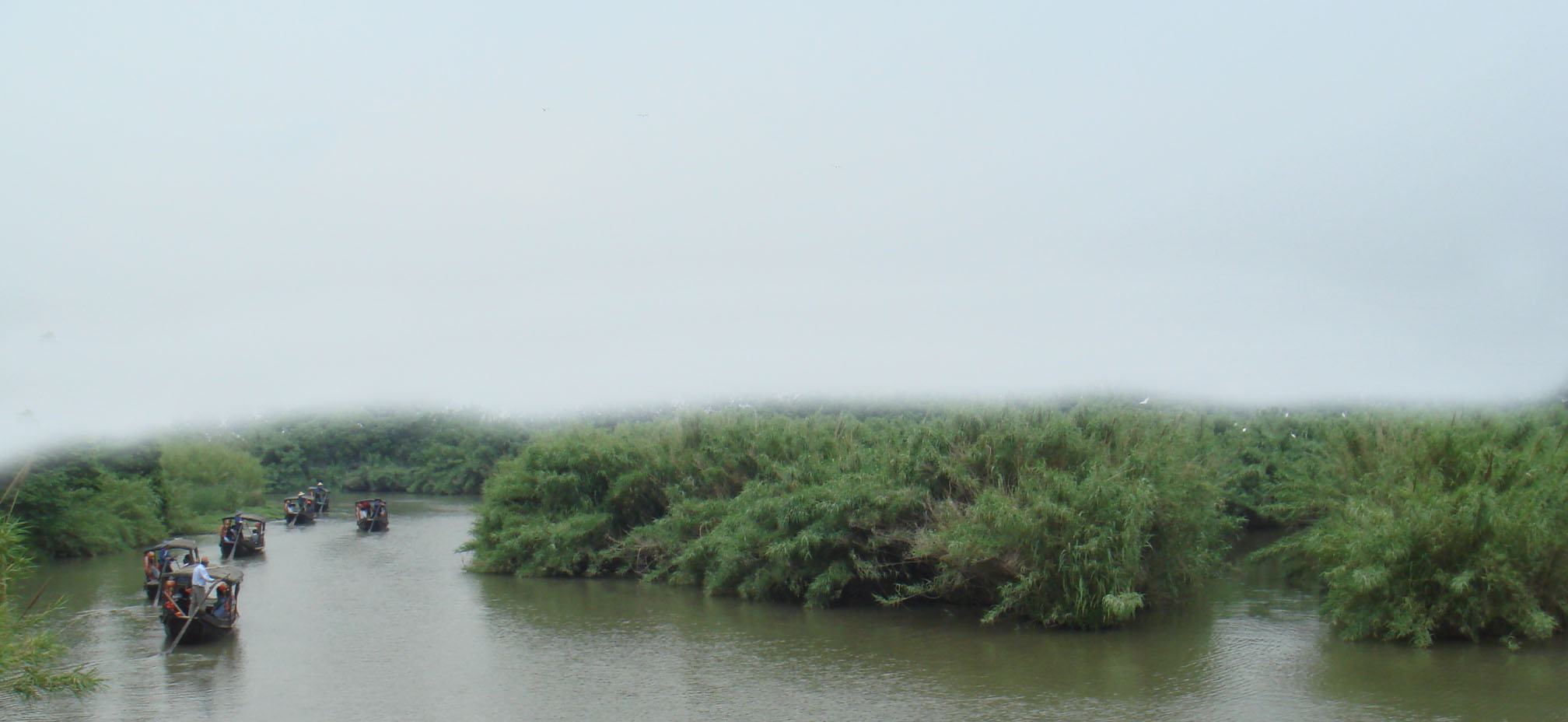 ���� DSC07422.JPG