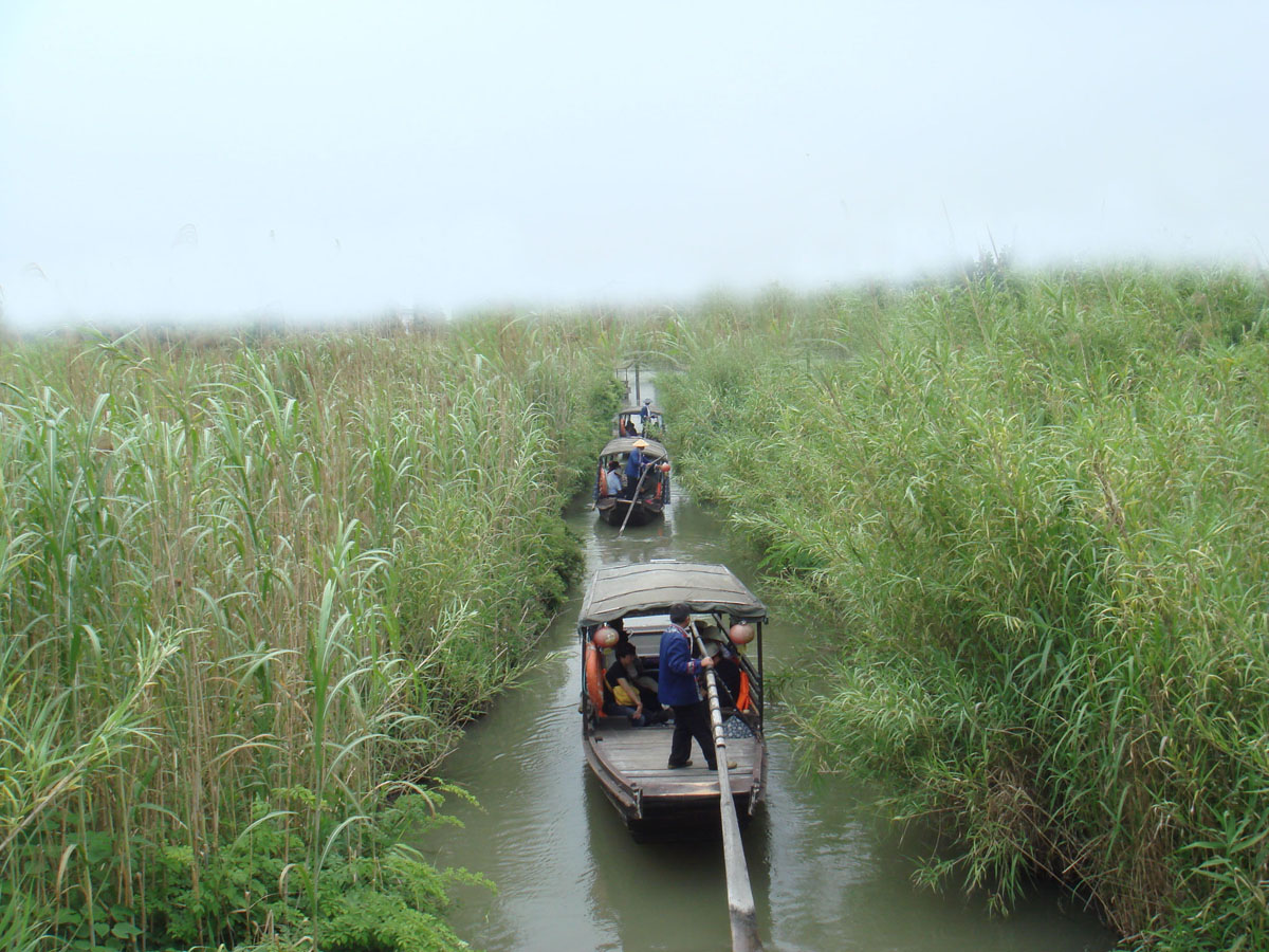 ���� DSC07426.JPG