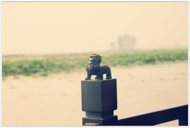 60d 037_����_����.jpg