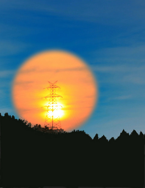 ���� ����9242.JPG