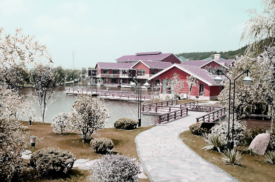 �� - ����.JPG