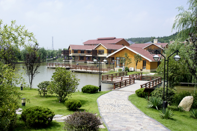 �� - ����.JPG