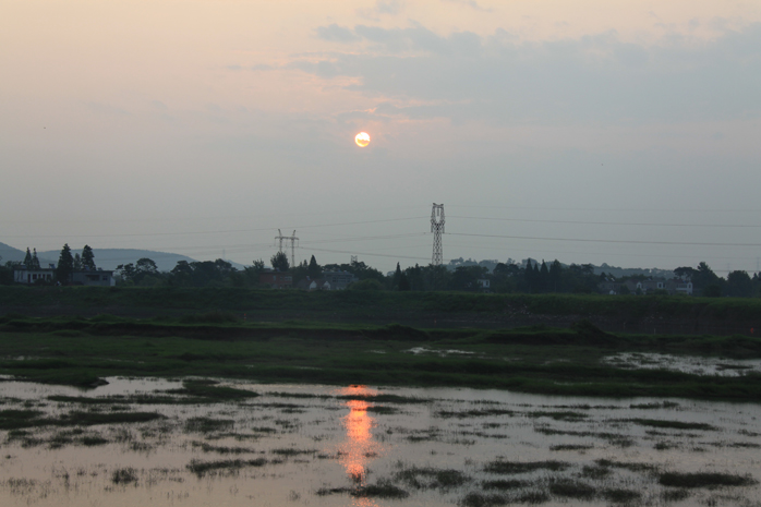 ���� IMG_4631.JPG