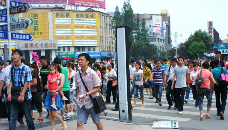 �������ϵ�����