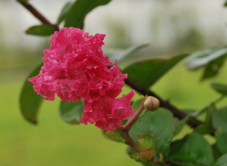 8.30������� 011.jpg