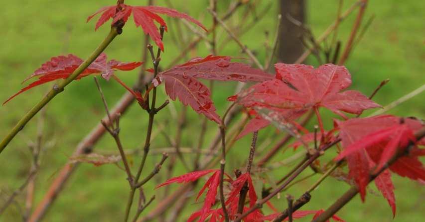 8.30������� 015.jpg