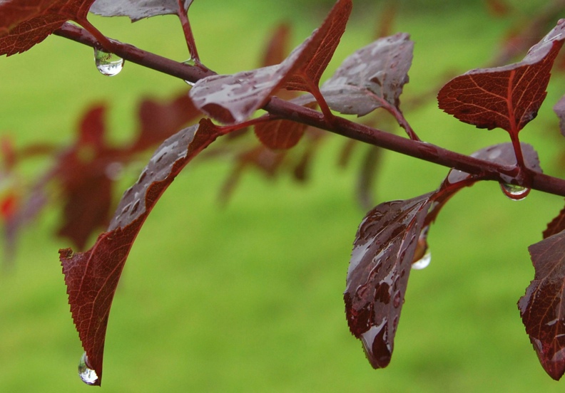 8.30������� 020.jpg