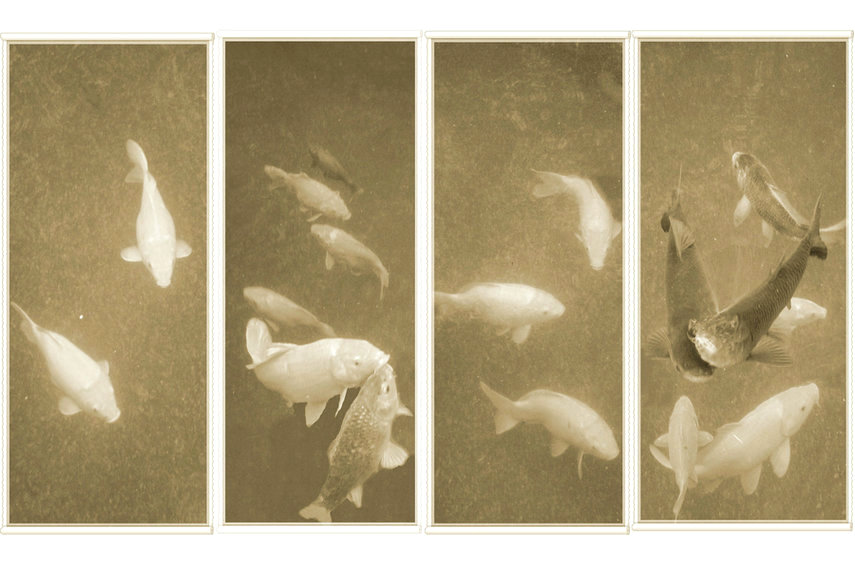 ���� DSC02751_conew3.jpg