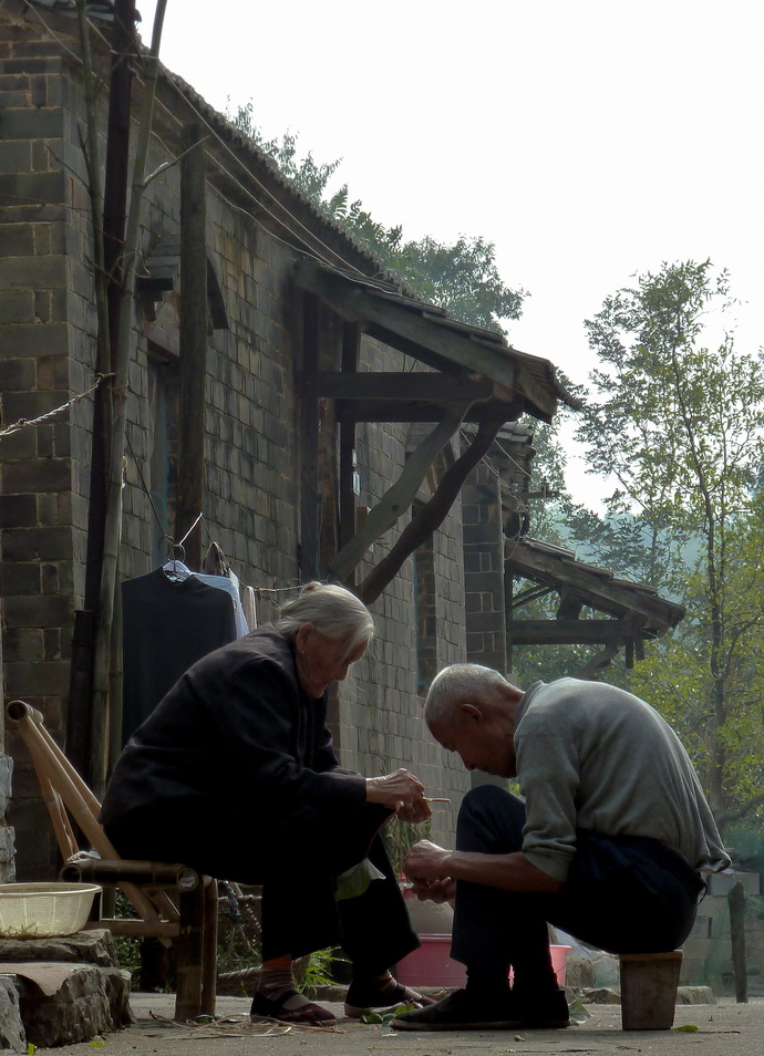 ɽ������