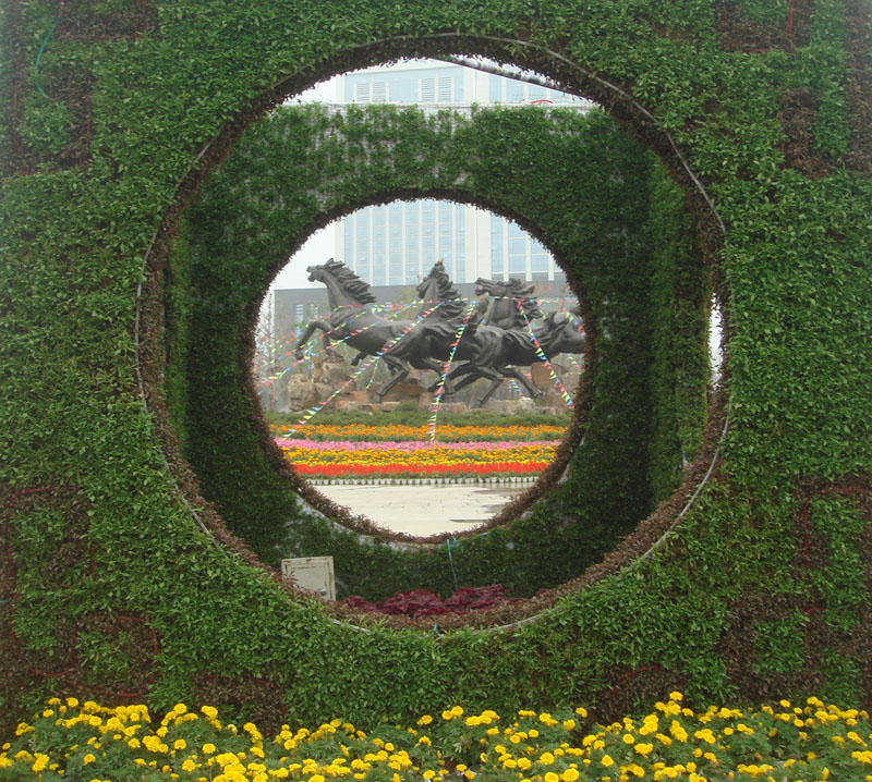 ���� DSC08755.JPG