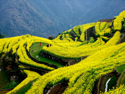 �ƻ�ʱ�� ��������.JPG