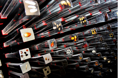 �����ϣ��  �����.jpg