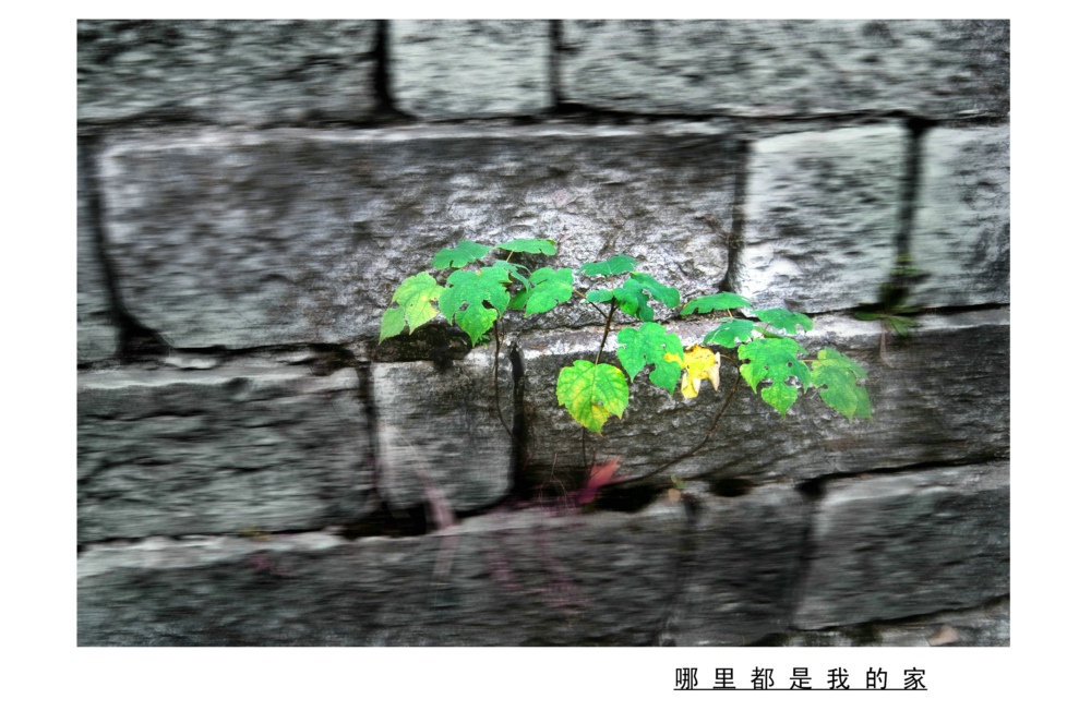 10[1][1].30���ﶼ���ҵļ� 228.jpg