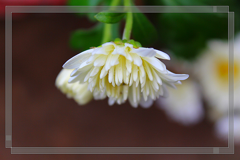 ��Ƭ 599_����.jpg