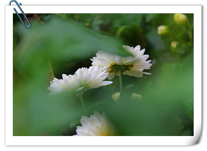 ��Ƭ 624_����.jpg