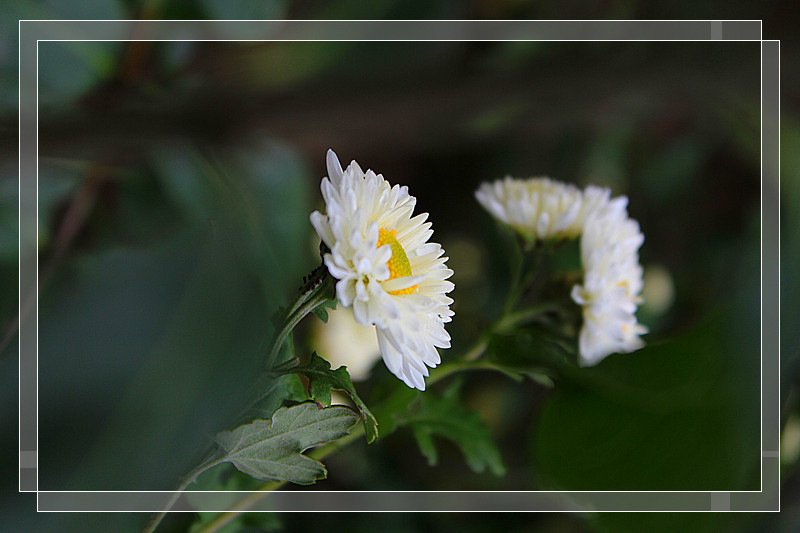 ��Ƭ 632_����.jpg