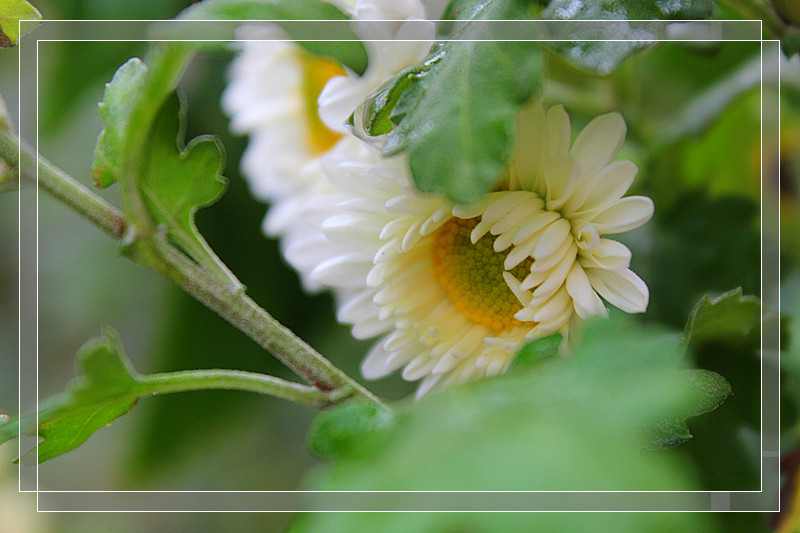 ��Ƭ 616_����_����.jpg