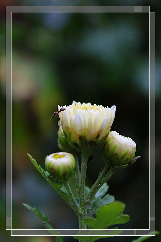 ��Ƭ 609_����.jpg