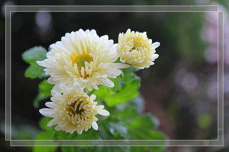 ��Ƭ 587_����.jpg