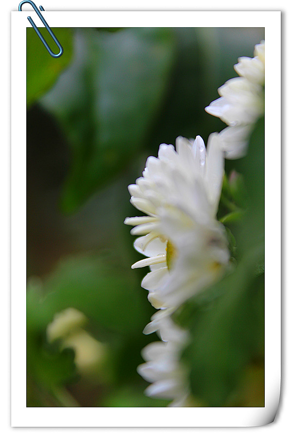 ��Ƭ 615_����.jpg