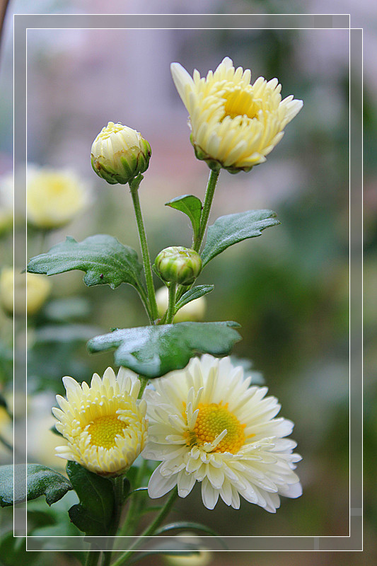 ��Ƭ 603_����.jpg