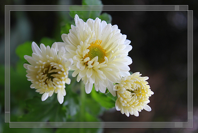 ��Ƭ 608_����.jpg