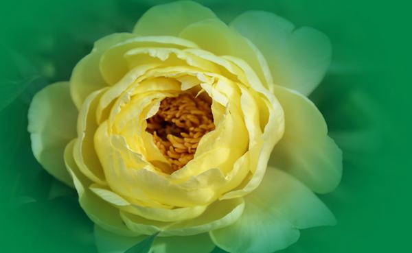 DSC07381 ����.jpg