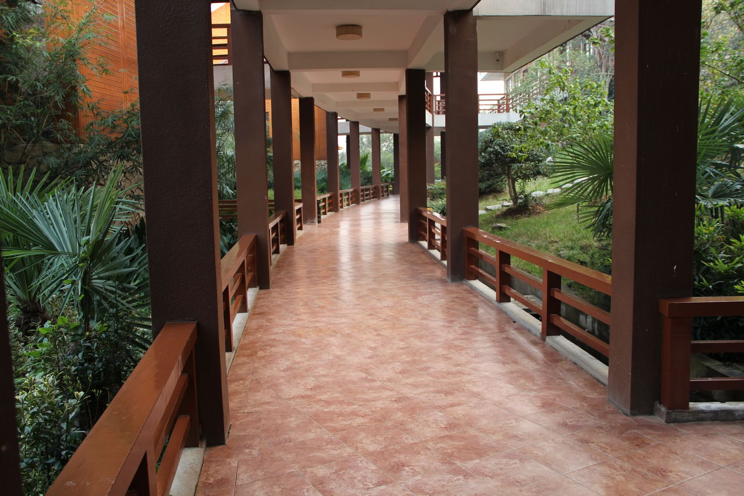 ����1 �ɽ԰��1.jpg